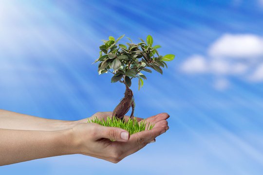 Martha-Maria 2020plus