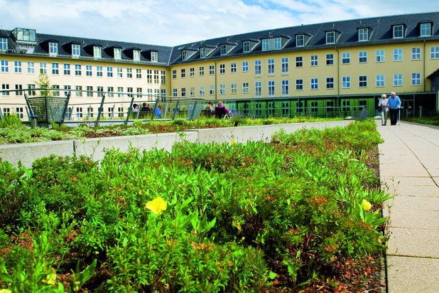 Außenanlage in Halle