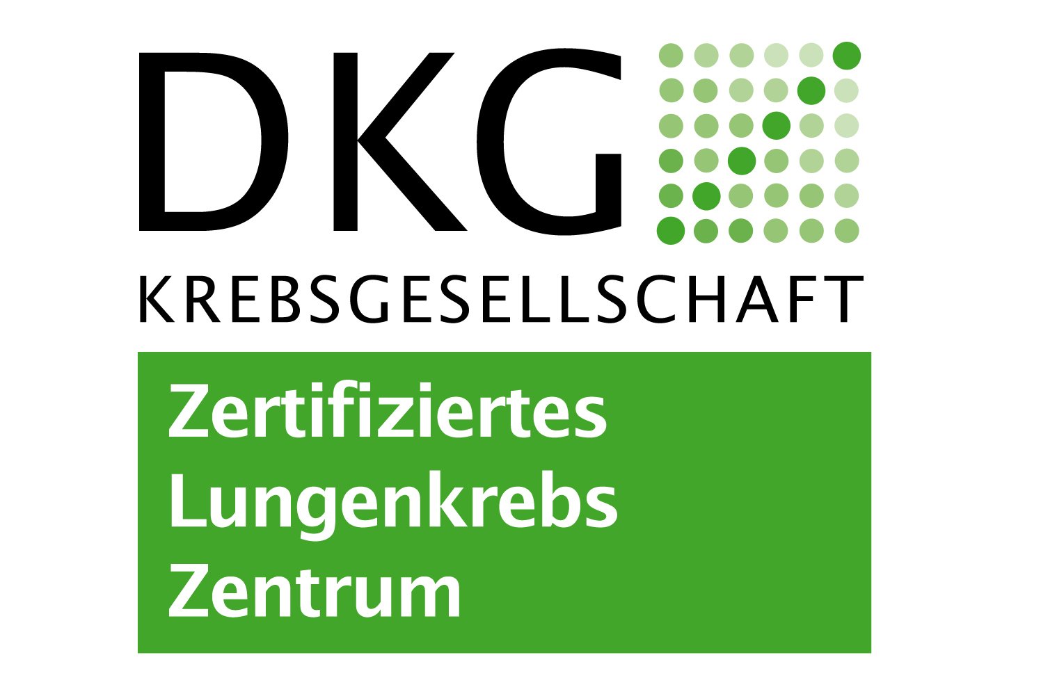 Logo LKZ