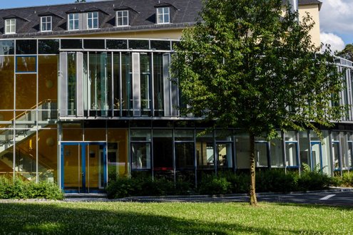 Moderne Glasfassade des Bistros mit grünem Baum im Vordergrund.